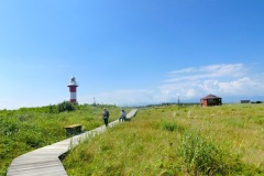 ハマナスの丘公園にて2