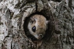 まったくの偶然でした。