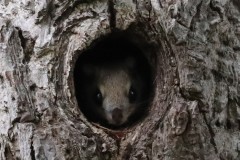 まったくの偶然でした。