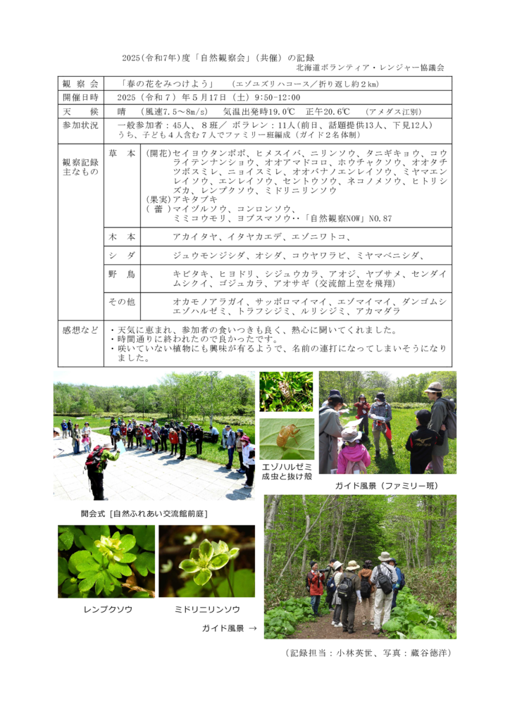 Report_20250517_harunohanaのサムネイル