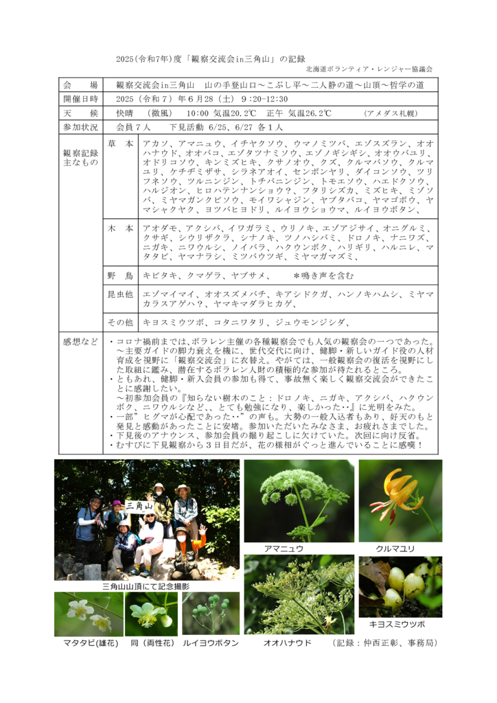 20250628_Report_sankakuyamaのサムネイル